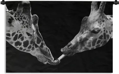 Produktbild von MuchoWow® Wandteppich Wandbehang Tiere - Schwarz - Giraffe - Weiß - Porträt 90x60 cm Tapisserie Dekoration Wandtuch - Wandskulpturen - Bildteppich