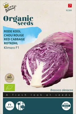 Produktbild von Rotkohl Klimaro F1 | Rotkohlsamen von Buzzy Seeds