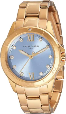 Immagine prodotto di Orologi Pierre Cardin cf1009mg2