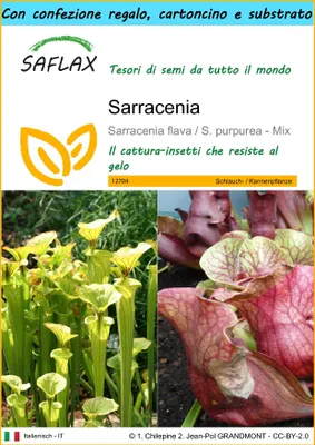 Immagine prodotto di SAFLAX Set regalo - Sarracenia - 10 semi - Sarracenia