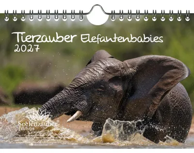 Produktbild von Tierzauber Elefantenbabies DIN A5 Kalender für 2027 Elefanten - Seelenzauber