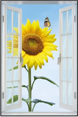 Produktbild von Wallario Wandbild mit Fenster-Illusion: Sonnenblume mit Schmetterling, Größe: 61 x 91,5 cm, Poster mit schwarzem Aluminiumrahmen