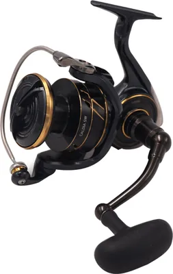Produktbild von Daiwa Rolle 23 CALDIA SW 8000-H (EU)