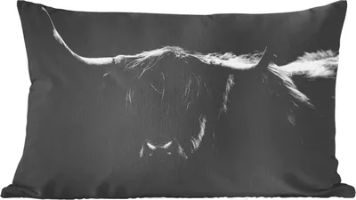 Produktbild von MuchoWow® Zierkissen Sofakissen Wohnzimmer Dekokissen 50x30 cm Schottisches Hochlandrind - Hörner - Schwarz - Tiere - Natur - Wild - Kuh - Wohnzimmerdekoration - Polster mit Photo