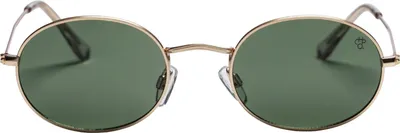 Produktbild von CHPO Brand Sonnenbrille Shaun, Gold - Green