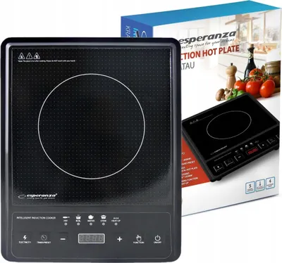 A product shot of an induction hot plate next to its packaging.