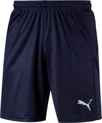 Produktbild von Puma LIGA Shorts Core Kinder