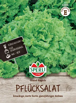 Produktbild von SPERLI Salatsamen Grand Rapids Lactuca sativa 5-7 lfd. Meter