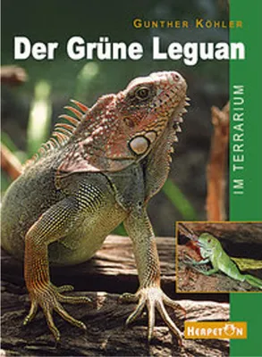Zdjęcie produktu dla Der Grüne Leguan im Terrarium