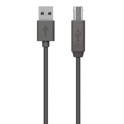 Produktbild von BELKIN USB 2.0 Kabel, Stecker A - Stecker B, 4,8m