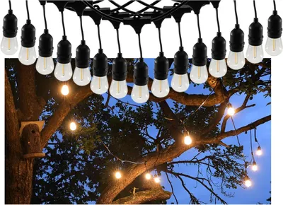 Zdjęcie produktu dla Lampki ogrodowe CT-BGL 15 1.5 + 12.5m 15x żarówka 0.8W