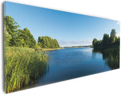 Produktbild von Wallario Premium Leinwandbild Malerischer See mit Schilf unter blauem Himmel in Größe 30 x 75 cm