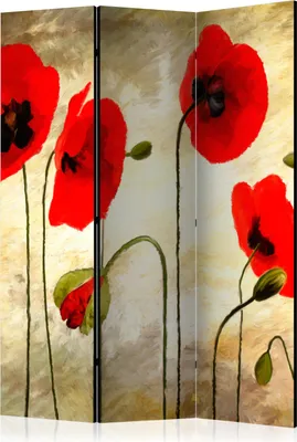 Produktbild von 3-teiliger Einseitiger Vlies Paravent - Golden Field of Poppies 135x172 cm Blumen b-A-0336-z-b