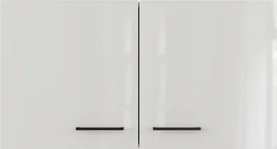 Obrázek produktu pro Kuchyňská skříňka horní Flex Well Lund 100 x 32 x 54,8 cm světle šedá lesk kouřově šedá matný