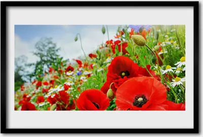 Produktbild von Bild 60x40 MDF-Rahmen Wandkunst Blumen Natur