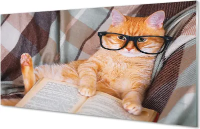 Produktbild von Glasbilder 140x70 Wandkunst Der Leser Katze