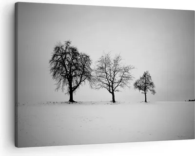Produktbild von Bild auf Leinwand - Leinwandbild - Einteilig - Winter Bäume Schnee - 70x50cm - Wand Bild - Wanddeko - Wandbilder - Leinwanddruck - Bilder - Wanddekoration - Leinwand bilder - Wandbild - AA70x50-4958
