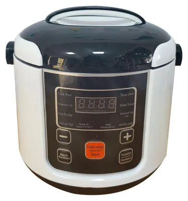 Tragbarer Reiskocher 2L, Warmhaltefunktion, 2-4 Portionen