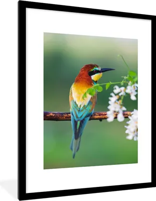 Produktbild von MuchoWow® Gerahmtes Poster Vogel - Bienenfresser - Blumen 60x80 cm - Poster mit Schwarzem Bilderrahmen Wandposter Rahmen Foto Bilder - Wohnzimmer - Dekorationen - Prämie
