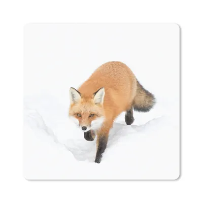 Produktbild von MuchoWow® Mauspad Mousepad Fuchs - Schnee - Winter 30x30 cm - Mousepads - Maus Mat - Pad - Mausunterlage - Gaming