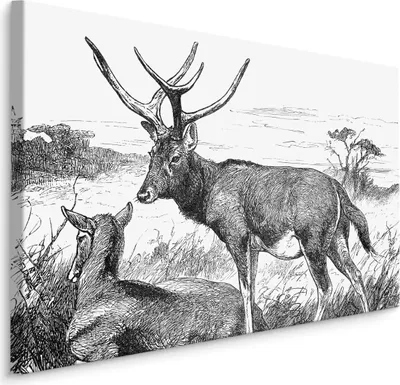 Obrázek produktu pro Obrázek 3D efekt dekorace ideální pro obývací pokoj černá a bílá Jelení příroda 90x60cm