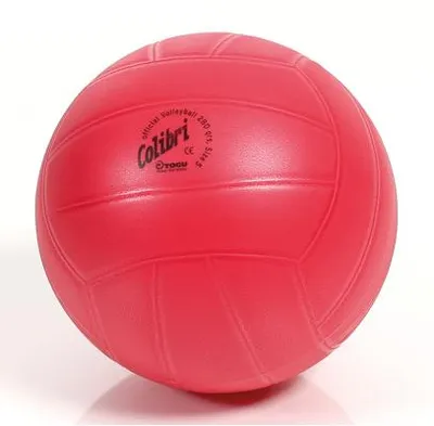 Produktbild von TOGU Colibri®-Volleyball Trainingsball