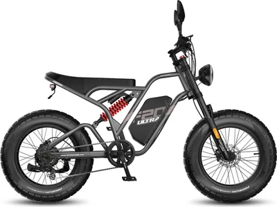 Produktbild von FAFREES F20 Ultra E-Bike (EU Type-Approval L1e-B) - Akku 48V25AH 20-Zoll-Rädern Hydraulische Bremsen - Grau