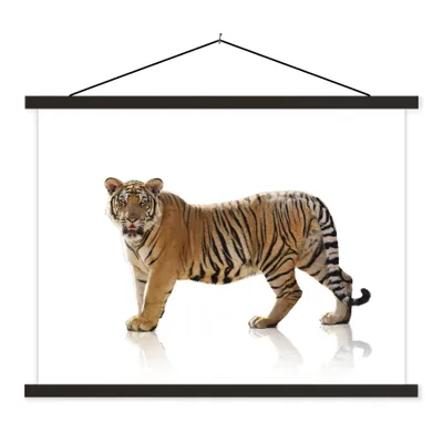 Produktbild von MuchoWow® Textilposter Tiger - Tier - Weiß 150x113 cm mit schwarzem Rahmen - Wohnzimmer