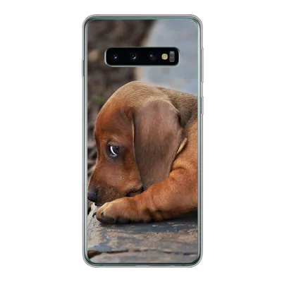 Produktbild von MuchoWow® Handyhülle Schutzhülle Hülle für Samsung Galaxy S10 Dackelwelpe liegt am Rande des Bürgersteigs Silikon Softcase Handy Hülle - Handytasche