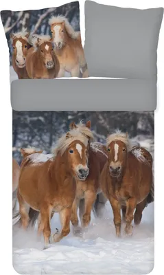 Produktbild von ESPiCO Bettwäsche Trendy Bedding Pferde Flanell 135 cm x 200 cm