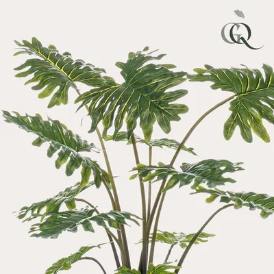 Produktbild von Künstliche Pflanze - Philodendron