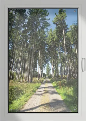 Produktbild von Wallario Lichtschutzbild, Dekorativer Sichtschutz Sonnenschutz 76 x 115 cm mit Motiv: Stiller Waldweg - Verdunklung ohne Bohren