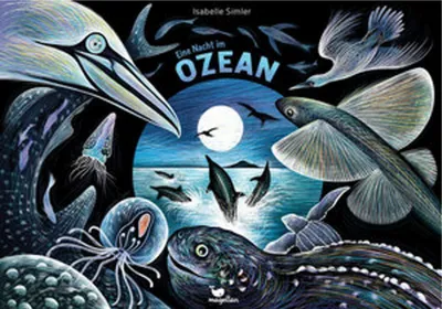 Image de Une nuit dans l'océan
