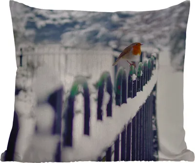 Produktbild von MuchoWow® Outdoor Kissen - Rotkehlchen - Winter - Schnee - 40x40 cm - Wetterfest - Lounge Kissen - Kopfkissen - Interieur - Polster mit Bild