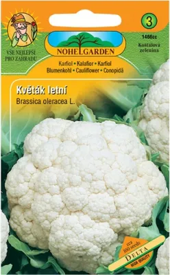 Obrázek produktu pro Květák letní DELTA