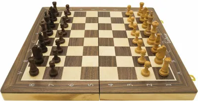 Immagine prodotto di Scacchi in legno magnetici pieghevoli