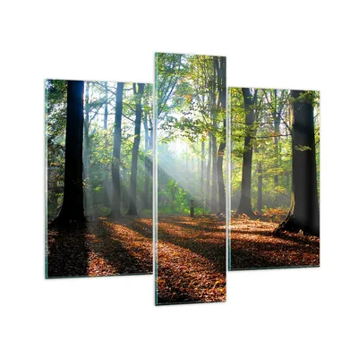 Produktbild von Bilder auf glas - Wald Blätter Sonne - 95x80cm - Glasbilder - Wandbilder - Kunstdruck - zum Aufhängen bereit - Wanddekoration aus Glas - Glas Bilder - Wandbild auf Glas - 3 Teile - GCB95x80-0136