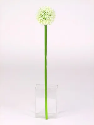 Image de 24x Tiges de fleurs d'Allium artificielles Plantes d'herbe Décoration florale Séchées