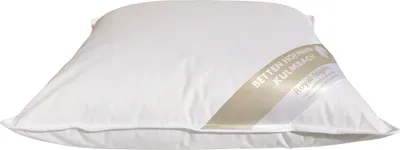 Produktbild von Betten Hofmann Kopfkissen 45x45 Kleinkissen Kissen Federkissen 450 g prall 30% Daunen