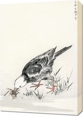 Obrázok produktu pre 50 x 70 cm Bulbul, Kashu Japonský vintage obraz do obývacej izby
