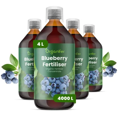 Obrázok produktu pre Tekuté hnojivo Čučoriedka 4x1 L – 2-1-8 NPK – Pre ovocné kríky – Pre zdravé kríky a bohatú úrodu – Podporuje rast koreňov a vitalitu – Organický produkt