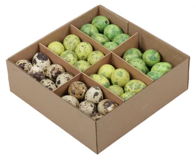 Produktbild von 72 Wachteleier ausgeblasen 3cm bunt natur grün Eier Ostereier Ostern