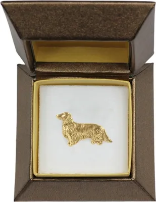 Produktbild von Dachshund Rauhhaar, Dackel, Teckel III - Hundebrosche in dekorativer Box, elegante vergoldete Anstecknadel, Jackenbrosche der Marke Art-Dog