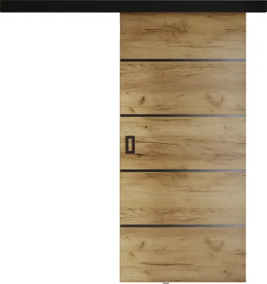 A sliding door with a wood grain finish and black accents, presented against a white background.