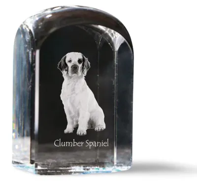 Image de Clumber spaniel - cube en cristal avec photo, photo de chien en cristal, bouton cubique sur papier de la marque Art-Dog