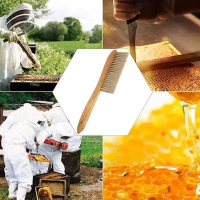 Obrázek produktu pro Čistič úlů s dlouhou rukojetí – dvě řady – včelařství.
