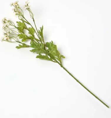 Image de HOMESCAPES Marguerite à fleurs de bouquet - Branche décorative 55 cm