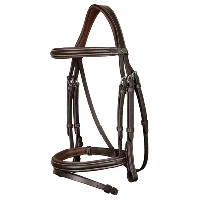 Image de Dy'on Bridon avec muserolle combinée Working Collection Bridon marron