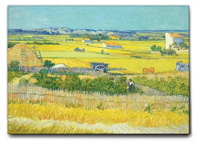 Immagine prodotto di Vincent Van Gogh - La raccolta - 100L x 70l cm - Quadro Tela Canvas Telaio Standard