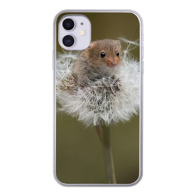Produktbild von MuchoWow® Handyhülle Schutzhülle Hülle für iPhone 11 Maus - Jung - Blumen Silikon Softcase Handy Hülle - Handytasche